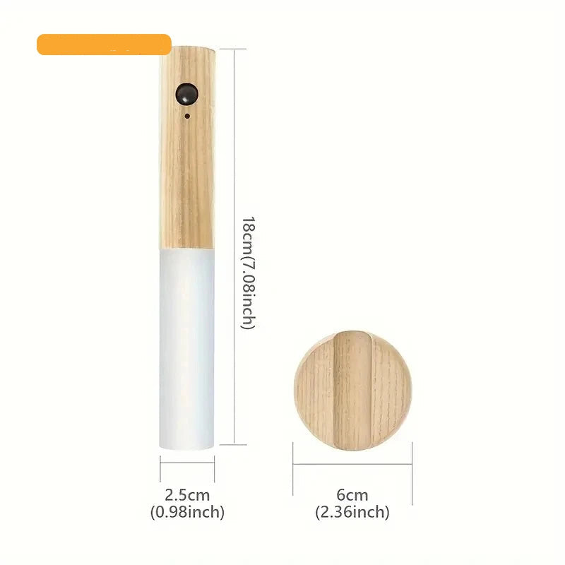 Intelligent Induction Night Light