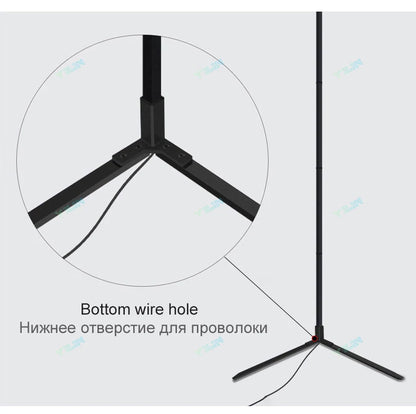 RGBIC Smart Floor Lamp