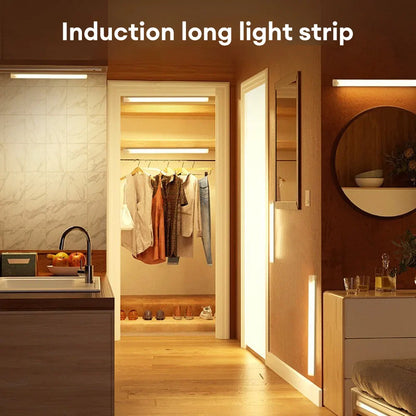 Wireless Motion Sensor Light